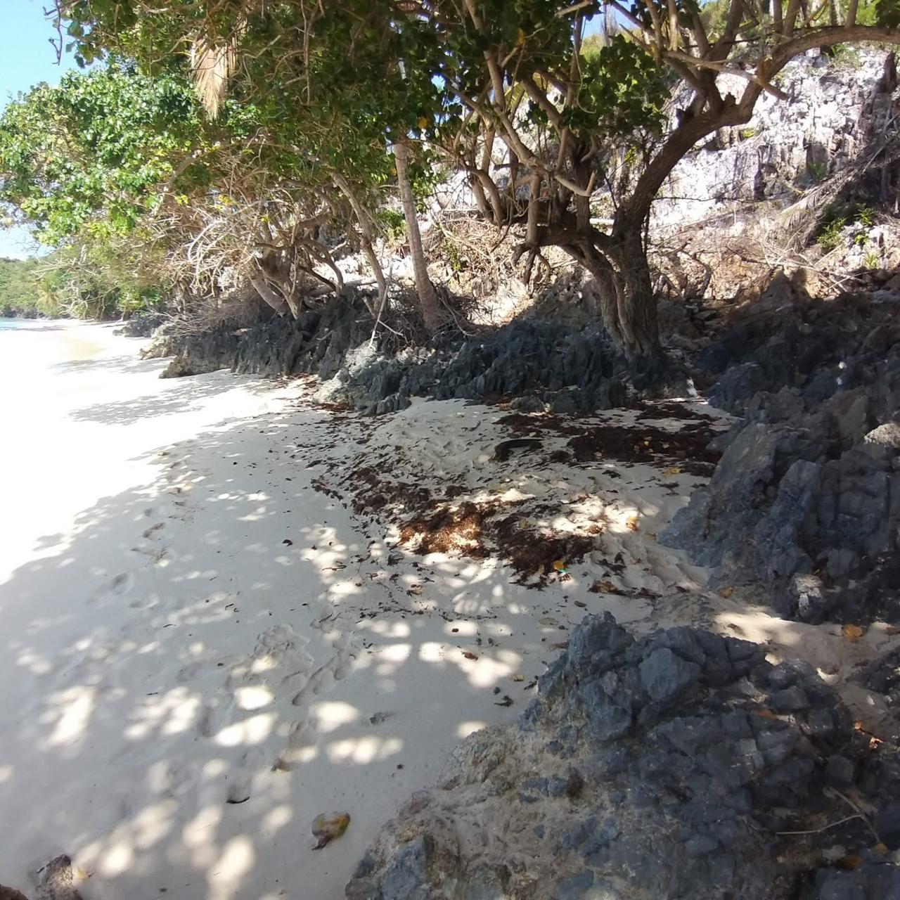 Playa con vegetación