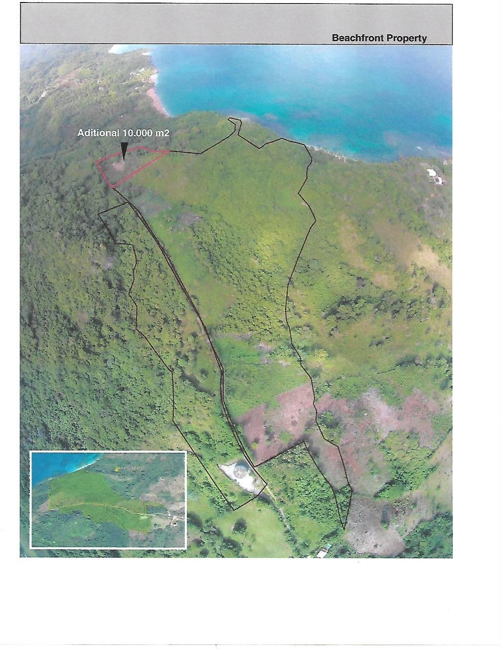 Palmeras y bahía